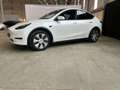 Tesla Model Y RWD/Certified Pre owned Wit - thumbnail 3