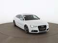 Audi A5 SB 2.0 TDI quattro Aut XENON SKY LEDER SITZHZG Weiß - thumbnail 6
