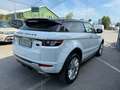 Land Rover Range Rover Evoque Range Rover Evoque 3p 2.2 td4  150cv Blanc - thumbnail 4