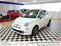 Fiat 500 Collezione BICOLORE*1Vorb*Serviceg.*Pano*PDC*UConn Weiß - thumbnail 5