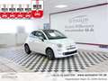 Fiat 500 Collezione BICOLORE*1Vorb*Serviceg.*Pano*PDC*UConn Weiß - thumbnail 1