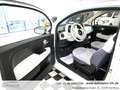 Fiat 500 Collezione BICOLORE*1Vorb*Serviceg.*Pano*PDC*UConn Weiß - thumbnail 13