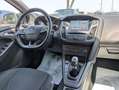 Ford Focus 1.5d 120cv NAVI SENS PARK CERCHI LEGA Nero - thumbnail 8