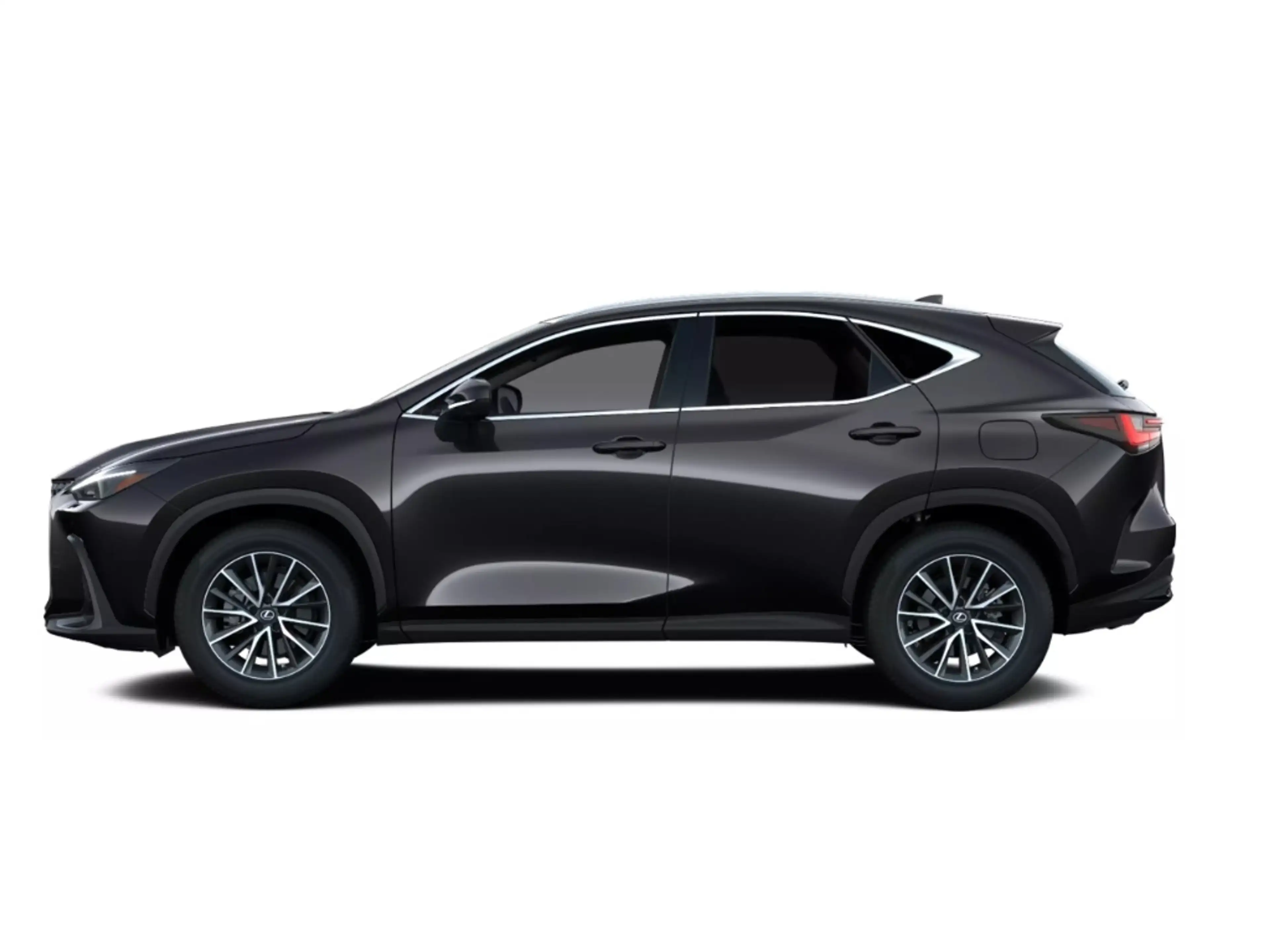 Lexus NX 450h+ E-Four * 360Grad *Leder *Sitzbelüftung — photo 2