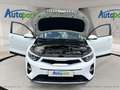 Kia Stonic 1,2 Österreich Edition Weiß - thumbnail 9