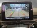 Ford Kuga ST-Line leichter Hagelschaden Sportpaket Navi Schwarz - thumbnail 9