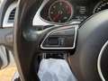 Audi A4 allroad A4 allroad 2.0 TDI 190 CV S tronic Business Plus Bianco - thumbnail 13