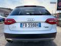 Audi A4 allroad A4 allroad 2.0 TDI 190 CV S tronic Business Plus Bianco - thumbnail 6