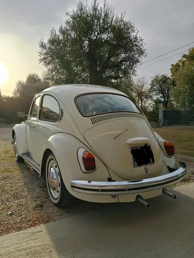 Volkswagen Maggiolino Maggiolino 1.2 - 2