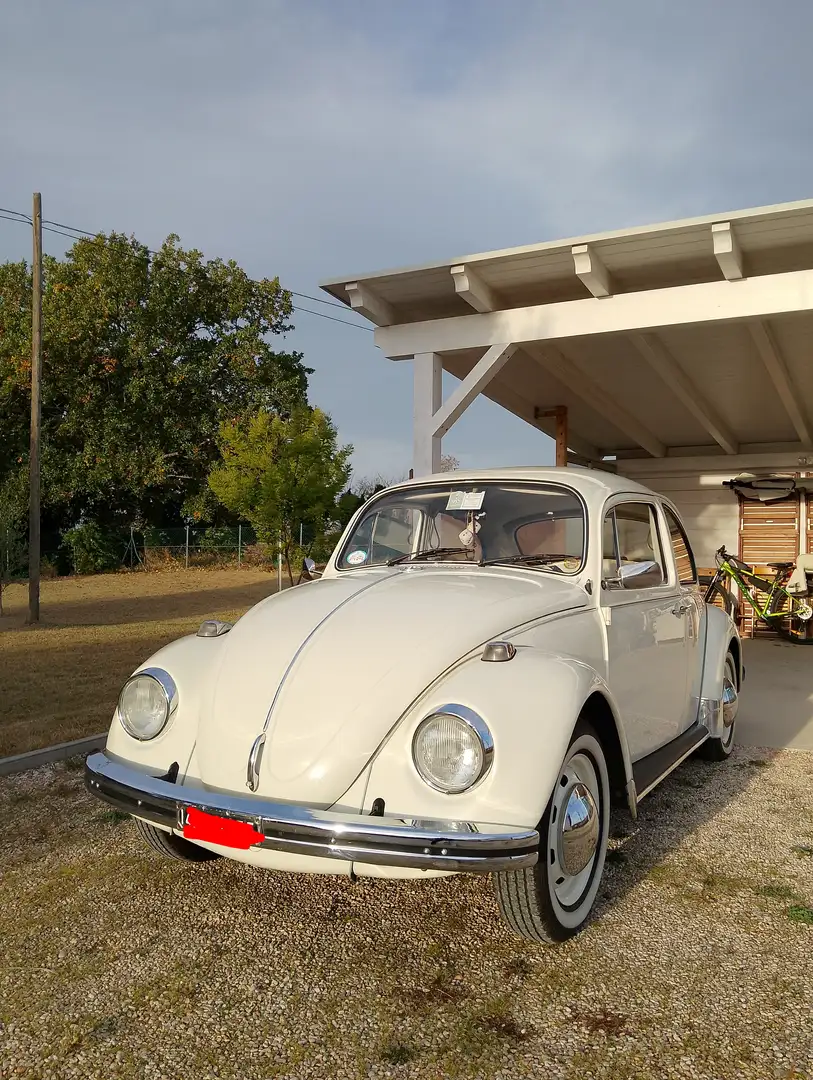 Volkswagen Maggiolino Maggiolino 1.2 - 1