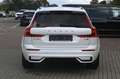 Volvo XC60 B4D AWD Ultimate Dark*LUFT*HUD*B&W*AHK*360° Weiß - thumbnail 4