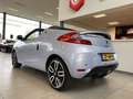 Renault Wind 1.2 TCE Collection,Cabriolet,Cruisecontrol,Achteru Grigio - thumbnail 9