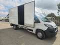 Peugeot Boxer 435 2.2 BlueHDi 140 S&S PLM-SL CASSA E SPONDA Weiß - thumbnail 5