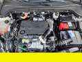 Ford Focus Ford Focus 1.5 TDci Active 120CV anno 2019 Beige - thumbnail 21