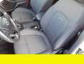 Ford Focus Ford Focus 1.5 TDci Active 120CV anno 2019 Beige - thumbnail 8