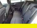 Ford Focus Ford Focus 1.5 TDci Active 120CV anno 2019 Beige - thumbnail 12