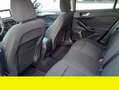 Ford Focus Ford Focus 1.5 TDci Active 120CV anno 2019 Beige - thumbnail 9