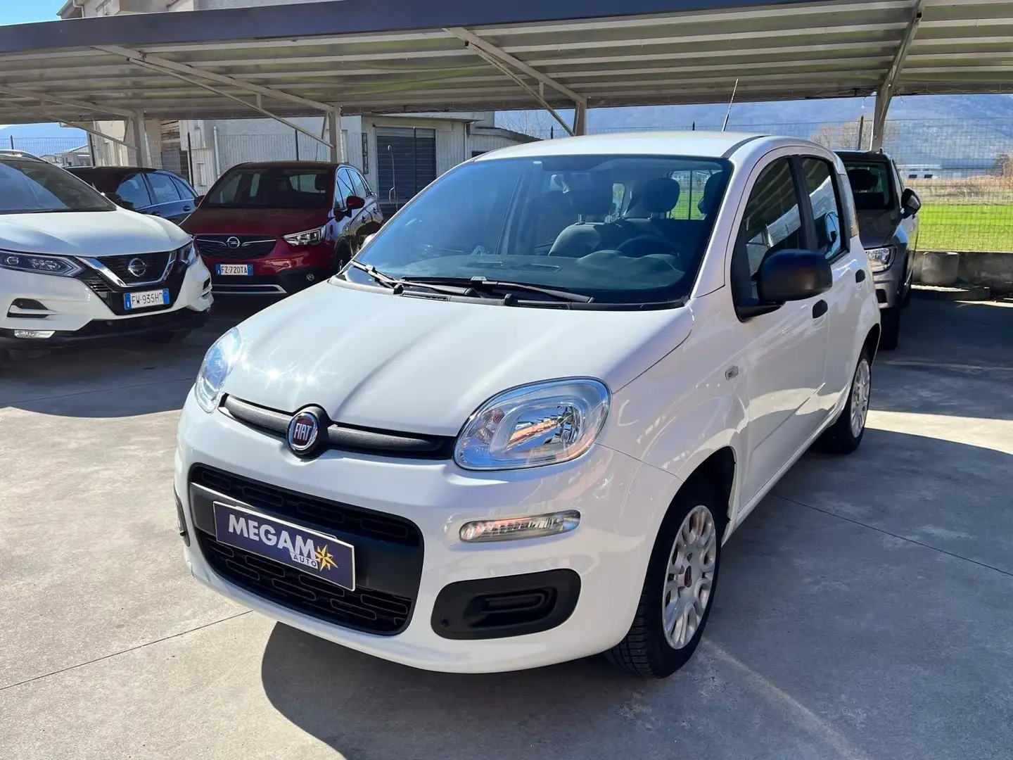 Fiat Panda Panda 1.2 Easy s Bianco - 1