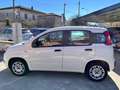 Fiat Panda Panda 1.2 Easy s Bianco - thumbnail 4