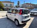 Fiat Panda Panda 1.2 Easy s Bianco - thumbnail 5