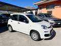 Fiat Panda Panda 1.2 Easy s Bianco - thumbnail 6