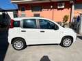 Fiat Panda Panda 1.2 Easy s Bianco - thumbnail 2