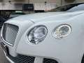 Bentley Continental GT 6.0 575cv W12 Bílá - thumbnail 15