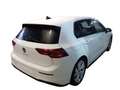 Volkswagen Golf VIII 2.0 TDI R-Line CAM*APP*SHZ*ACC Weiß - thumbnail 2