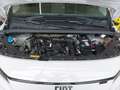 Fiat KW Transport EASY PRO L1 BLUEHDI Weiß - thumbnail 19