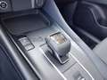 Nissan Qashqai Qashqai 1.3 mhev N-Connecta 2wd 158cv xtronic Grigio - thumbnail 11