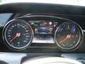 Mercedes-Benz E 300 de T Aut. Grau - thumbnail 22