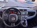 Fiat Panda Fiat Panda 1.0 FireFly 70CV S&S Hybrid Grigio - thumbnail 5
