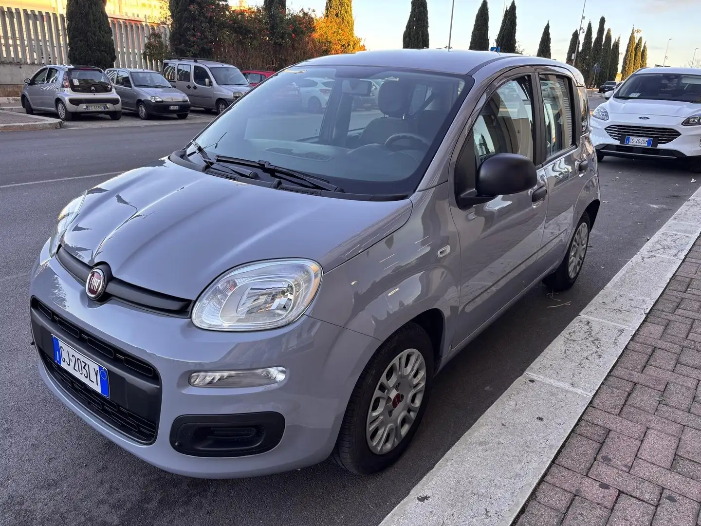 Fiat Panda Fiat Panda 1.0 FireFly 70CV S&S Hybrid Grigio - 2