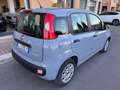 Fiat Panda Fiat Panda 1.0 FireFly 70CV S&S Hybrid Grigio - thumbnail 3