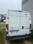 Citroen Jumper JUMPER 31 L 2.0 E Beyaz - thumbnail 3