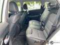 Kia Niro E Vision SHZ Wärmepumpe White - thumbnail 12