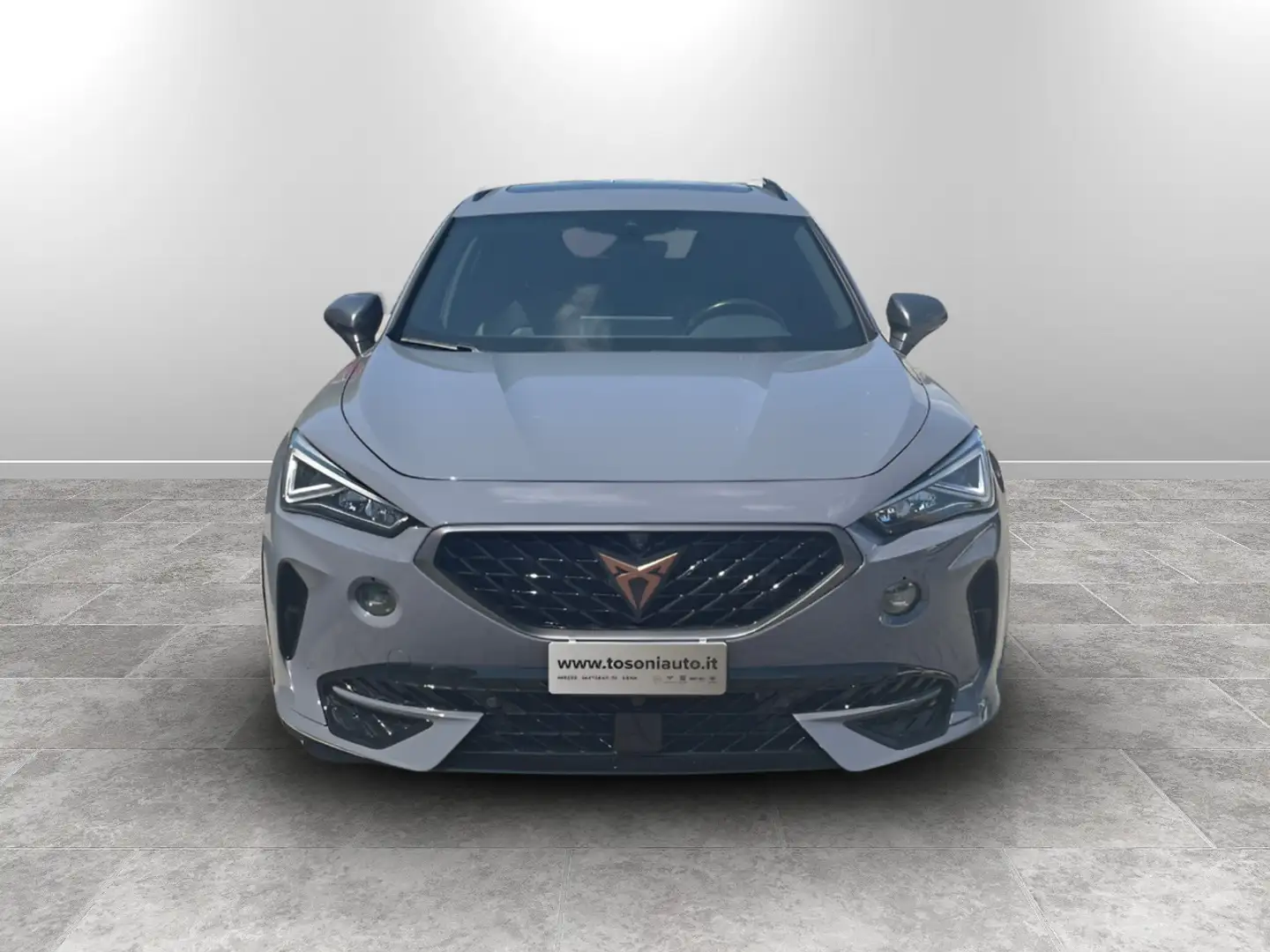 CUPRA Formentor 1.4 e-hybrid VZ dsg Grigio - 2