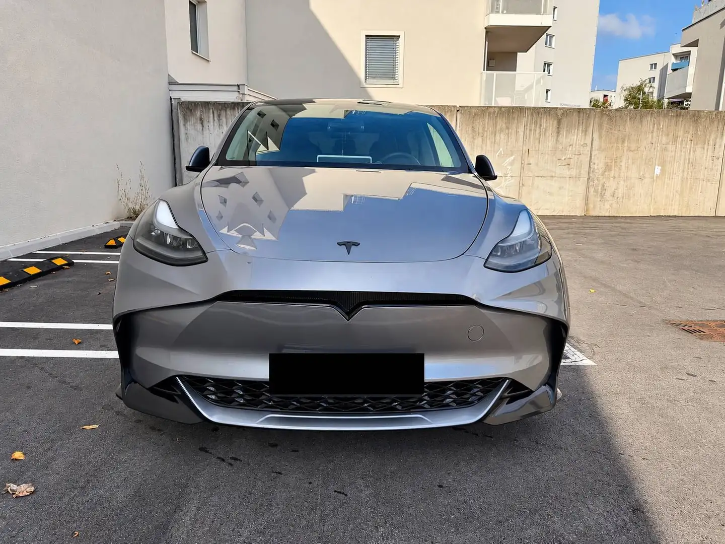 Tesla Model Y Tesla Model Y Long Range Dual Motor AWD Grau - 2