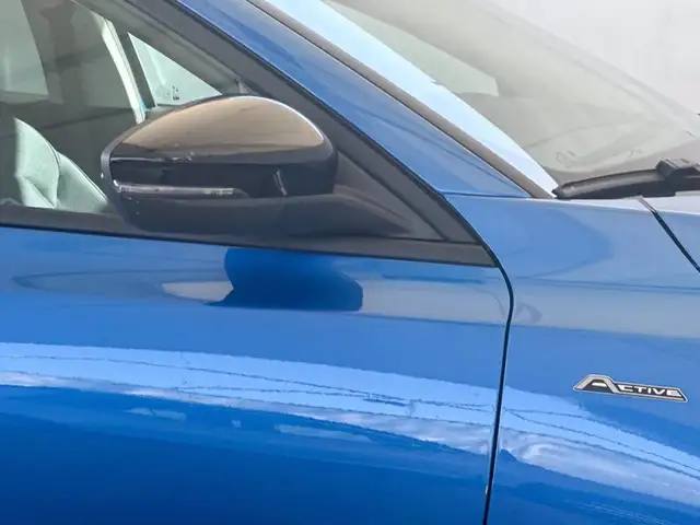 Ford Focus view 15
