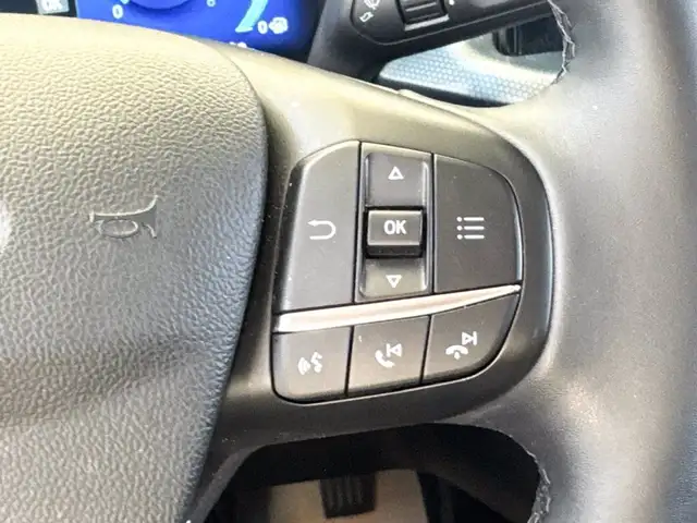 Ford Focus view 21
