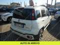 Fiat Panda 1.0 firefly hybrid City Cross s&s 70cv 5p.ti Blanc - thumbnail 4