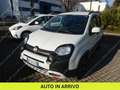 Fiat Panda 1.0 firefly hybrid City Cross s&s 70cv 5p.ti Blanc - thumbnail 2