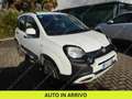 Fiat Panda 1.0 firefly hybrid City Cross s&s 70cv 5p.ti Blanc - thumbnail 1