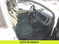Fiat Panda 1.0 firefly hybrid City Cross s&s 70cv 5p.ti Blanc - thumbnail 5