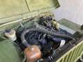 Jeep Willys Green - thumbnail 5