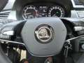 Skoda Fabia CLEVER Combi 1.0 TSI DSG NAVI AHK ALU APS SITZHEIZUNG GRA CLIMATRONIC SOUNDPAKET RSE LIGHT Blau - thumbnail 14