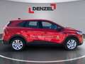 Mitsubishi Grandis 1,8 HEV Invite C AT 26 Rot - thumbnail 5
