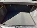 Mitsubishi Grandis 1,8 HEV Invite C AT 26 Rot - thumbnail 13