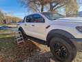 Ford Ranger Raptor Ranger VII Raptor 2.0 tdci double cab 213cv auto Bianco - thumbnail 3
