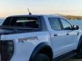 Ford Ranger Raptor Ranger VII Raptor 2.0 tdci double cab 213cv auto Bianco - thumbnail 1